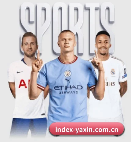 每个板块围绕一个运动项目展开（yaxin）